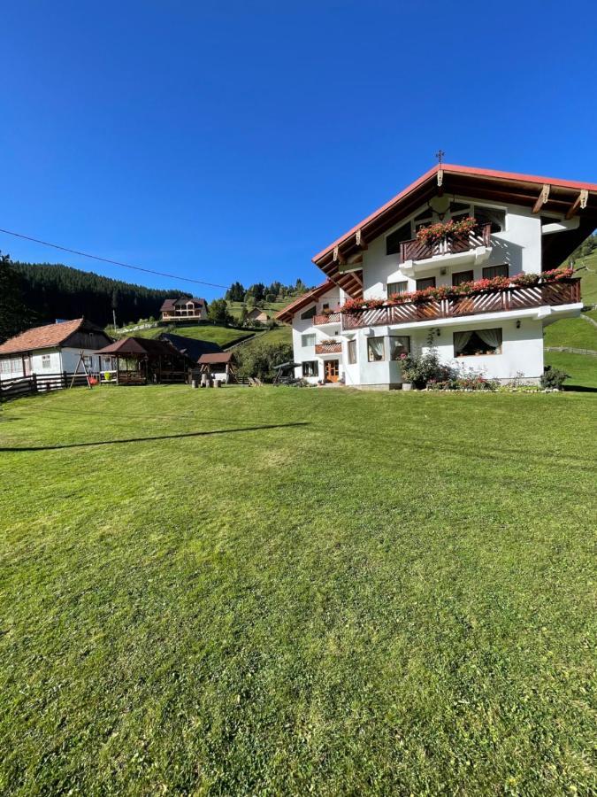 Hotel Pensiunea Padurea Verde Moeciu De Sus Esterno foto